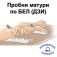 Пробни изпити по БЕЛ по формат матура (ДЗИ)